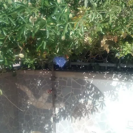 펜션 Rosa SantʼAntìoco